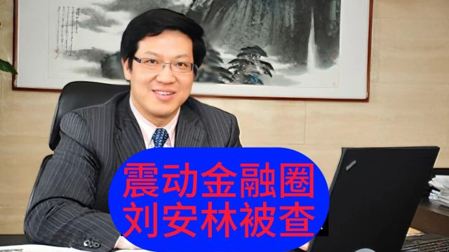 震动金融圈 刘安林被查