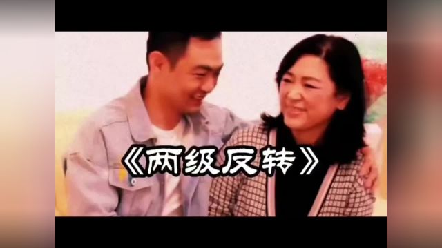 两级反转