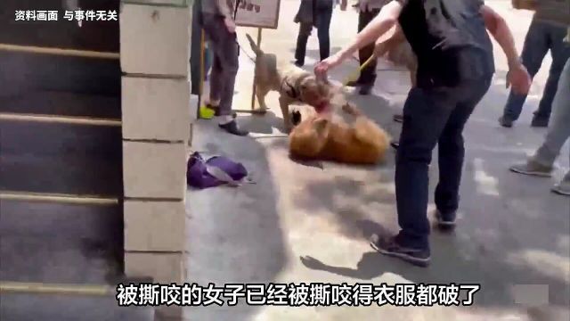 突发!恶性大狗当街撕咬女子:血流满地,网友:治狗得先治狗主人