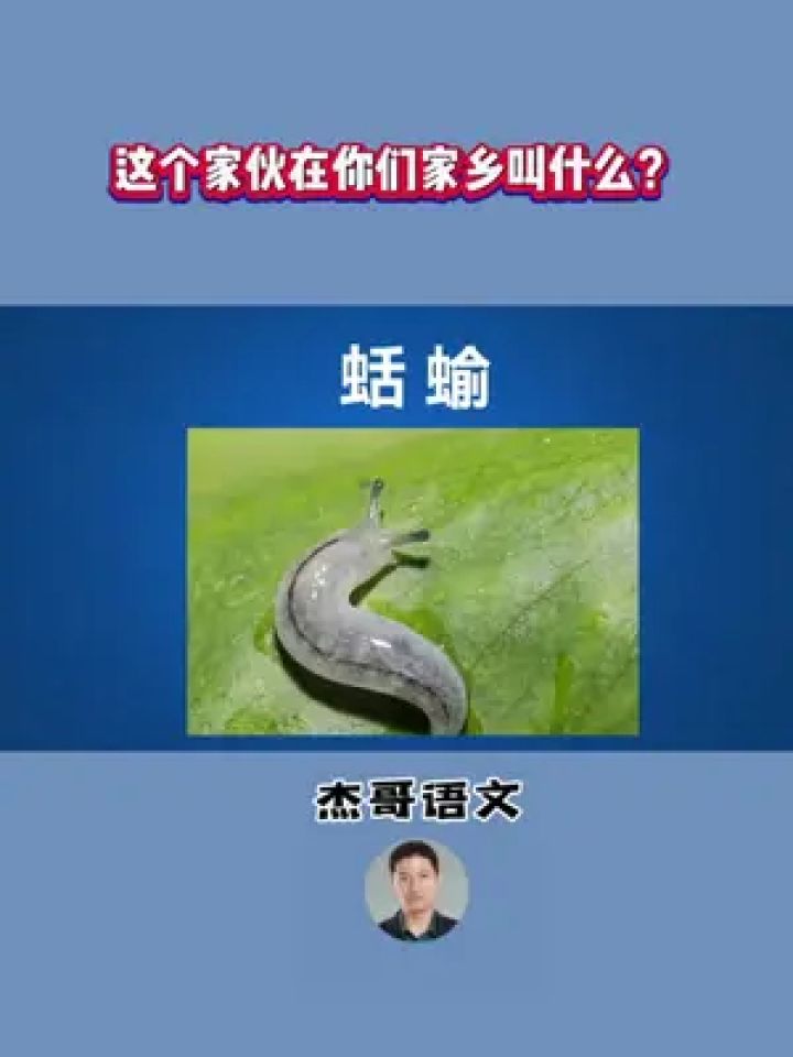 蜒蚰的读音图片