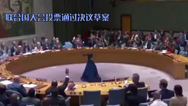 联合国大会投票通过决议草案