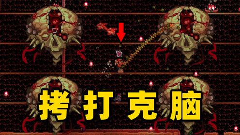 克苏鲁之脑:鞭子是我爸爸【泰拉瑞亚生存06-1】_高清1080P在线观看平台_腾讯视频