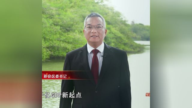 新会区委书记林锡波:加快建设大湾区新型工业化发展集聚地