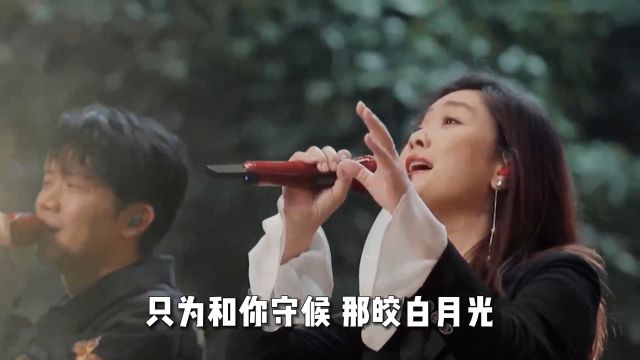 央视秋晚钉子户,凤凰传奇连登10多年,诞生多首广场舞神曲