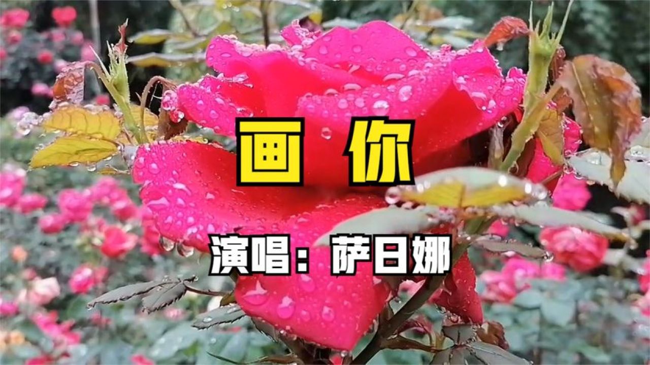 萨日娜演唱的歌曲画你图片