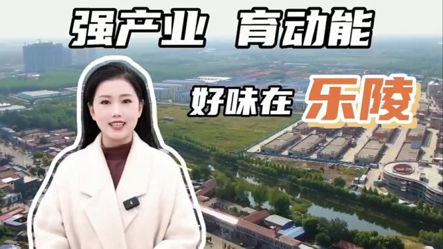 德州乐陵市:强产业 育动能 擦亮“食品名市”品牌