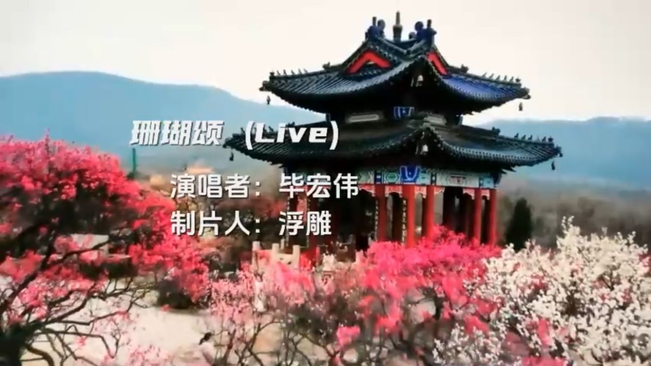 毕宏伟最强翻唱《珊瑚颂》,气势磅礴.