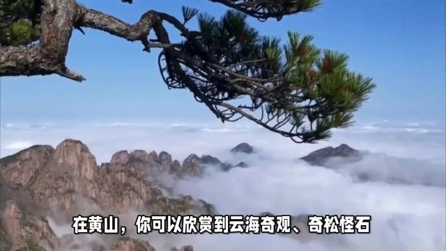 春游记赏名山名水