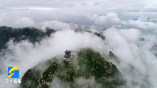 踏青出游正当时!清明假期来山东登高赏春,赴一场春天的约会