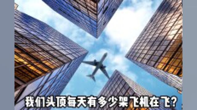 民航专题空姐都怎么体检民航飞行员年入百万飞机真的最安全吗