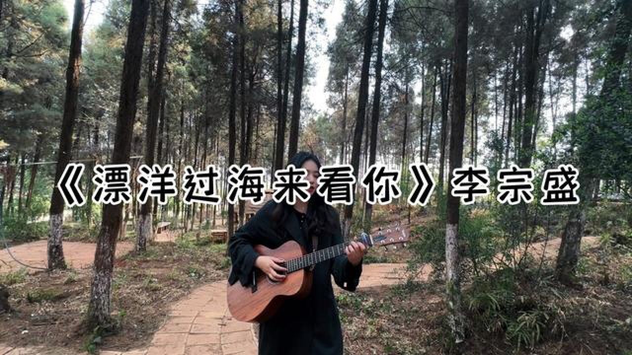 漂洋过海来看你 #李宗盛 #吉他弹唱