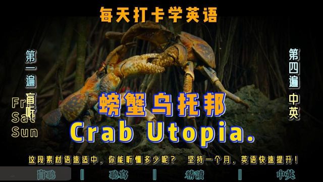 328每天打卡学英语2:螃蟹乌托邦Crab Utopia.