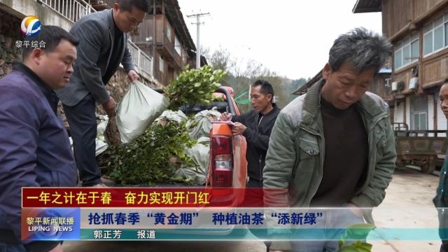 《一年之计在于春 奋力实现开门红》专栏:抢抓春季“黄金期” 种植油茶“添新绿”