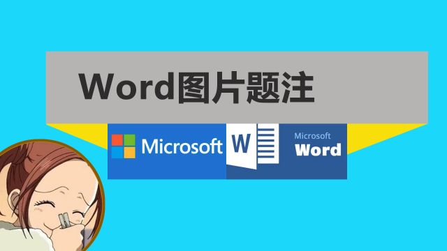 word图片下方标注文字题注功能和利用表格排版