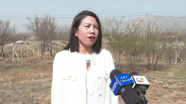 土默特右旗第九届杏花旅游文化节暨“爱上土右”系列宣传活动启动