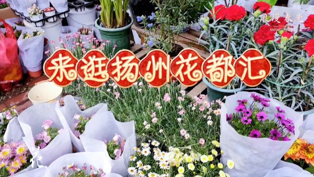 带你逛扬州花都汇