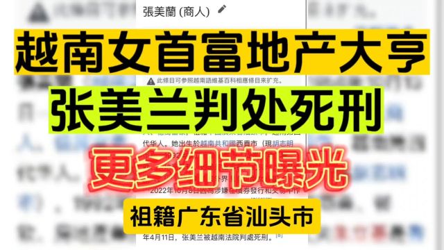 越南女首富地产大亨张美兰被判处死刑,案件更多细节曝光