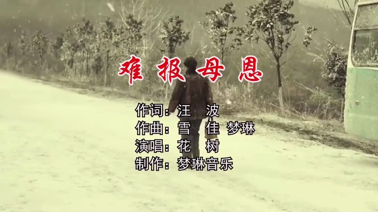 难报母恩 作词:汪 波 作曲:雪 佳 梦琳 演唱:花 树 制作:梦琳音乐