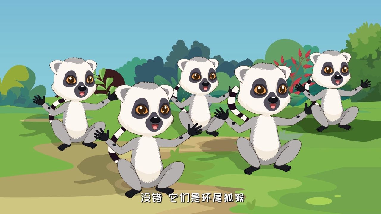 太可爱了!环尾狐猴太阳的崇拜者,每天起床拥抱太阳!