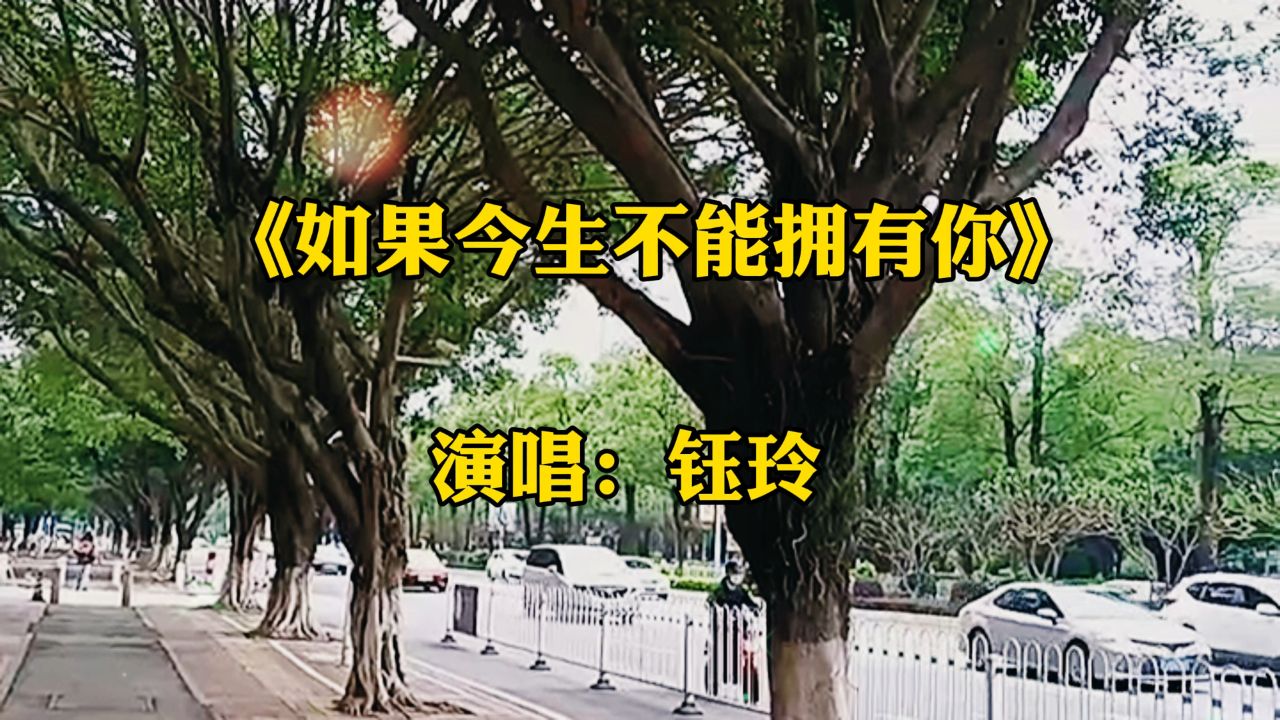 一首《如果今生不能拥有你》原唱钰怜唱的好听,伤感催泪,醉人入心