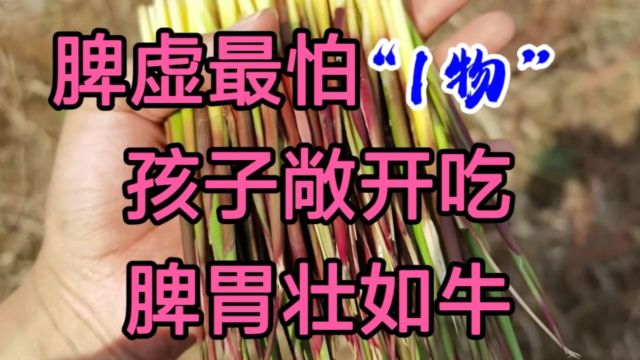 脾虚最怕“1物”,孩子敞开吃,脾胃壮如牛