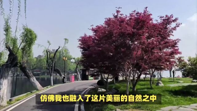 东湖梨园有哪些景点?东湖梨园花海盛放,姹紫嫣红等你来赏!