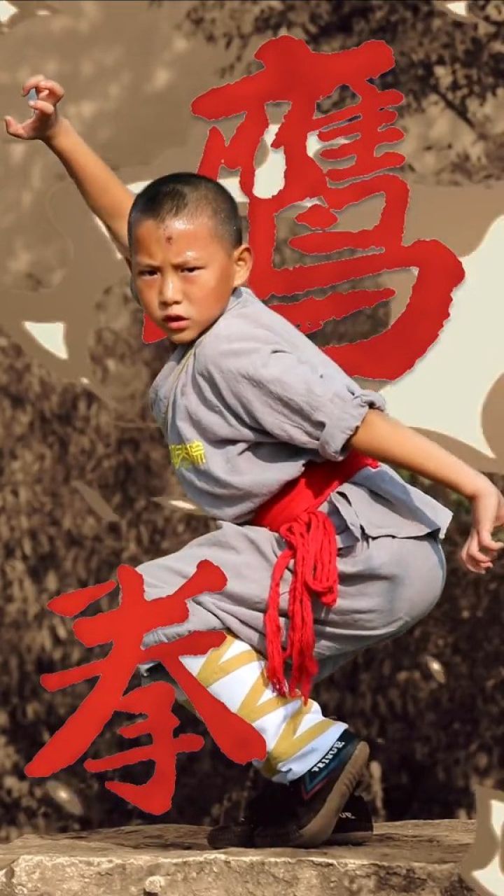 象形拳,仿其形,攻防自如;练其意,形神备.