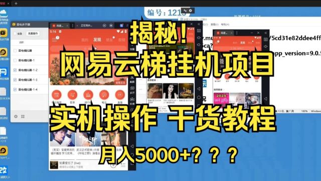 月入5000+??网易云挂机项目云梯挂机实机操作干货教程!