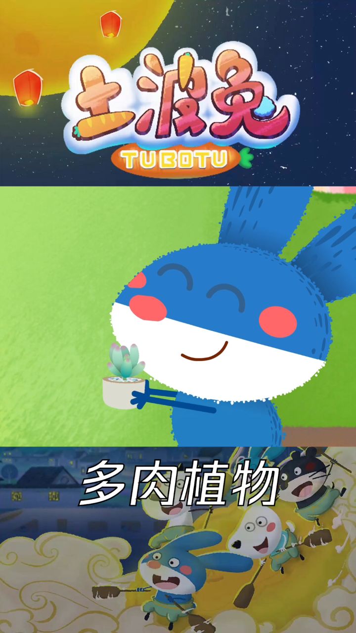 兔爸爸带来了多肉植物