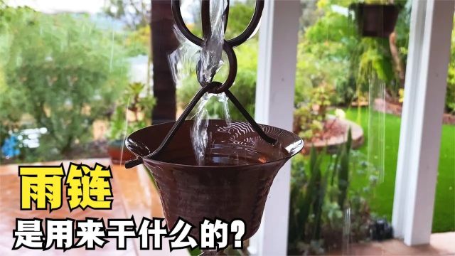 令人惊叹的雨链,排水原理是什么?从此对下雨有了期待