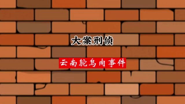 17人神秘失踪.凶手被抓后,真相让所有人震惊,云南晋宁鸵鸟肉事件2