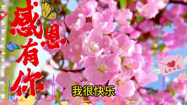 细风细雨细落花,我把我的秘密都告诉你【看完别哭】