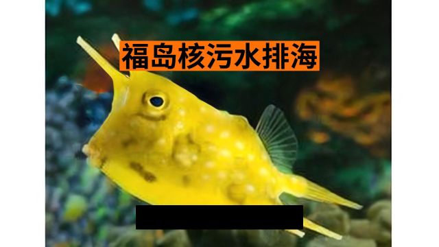 核污水排海第235天!还有5天到达我国沿海