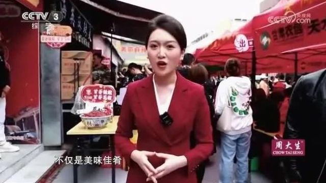 甘肃天水又又又上央视了,时长8分钟向全国人民推介!