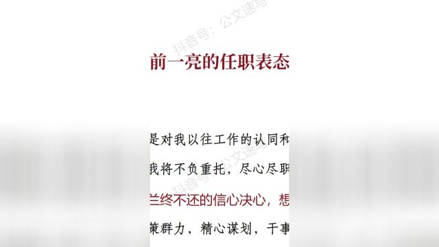 让人眼前一亮的任职表态发言稿