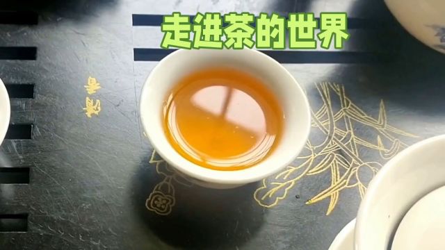 走进茶世界