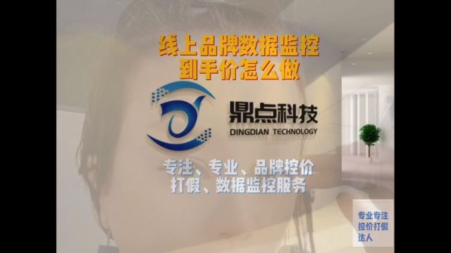 品牌线上数据监控到手价怎么做?