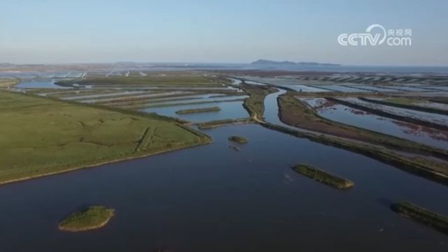 辽宁丹东:共建保护体系,全民参与爱鸟护鸟