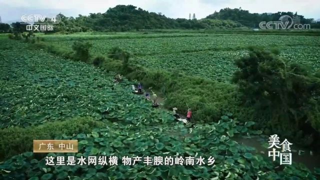 广东味ⷥ𙡧𞎠| “五一”去哪玩?来中山,就对了!(文末有福利)