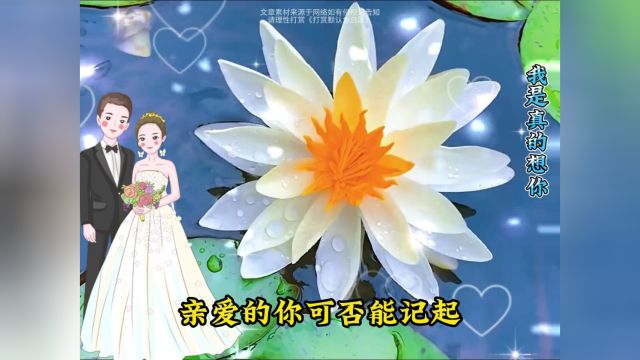 2314【【不看后悔】专门为你而唱的这首歌!