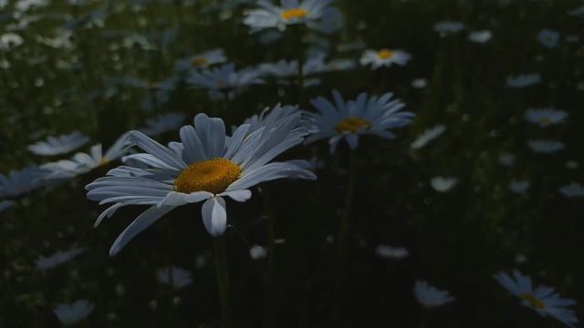 保持内心的光,因为你不知道谁会借此走出黑暗.#风景