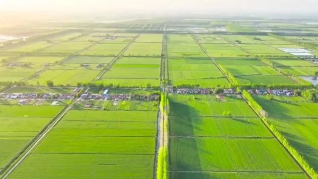 全国土地日丨@所有人 耕地保护始于心 节约用地践于行