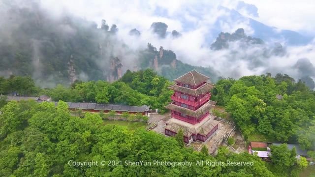 张家界对世界按下了暂停键,也交出了饭碗,但它展示出一个旅游城市的责任与担当,愿山河无恙,你我安好#张家界