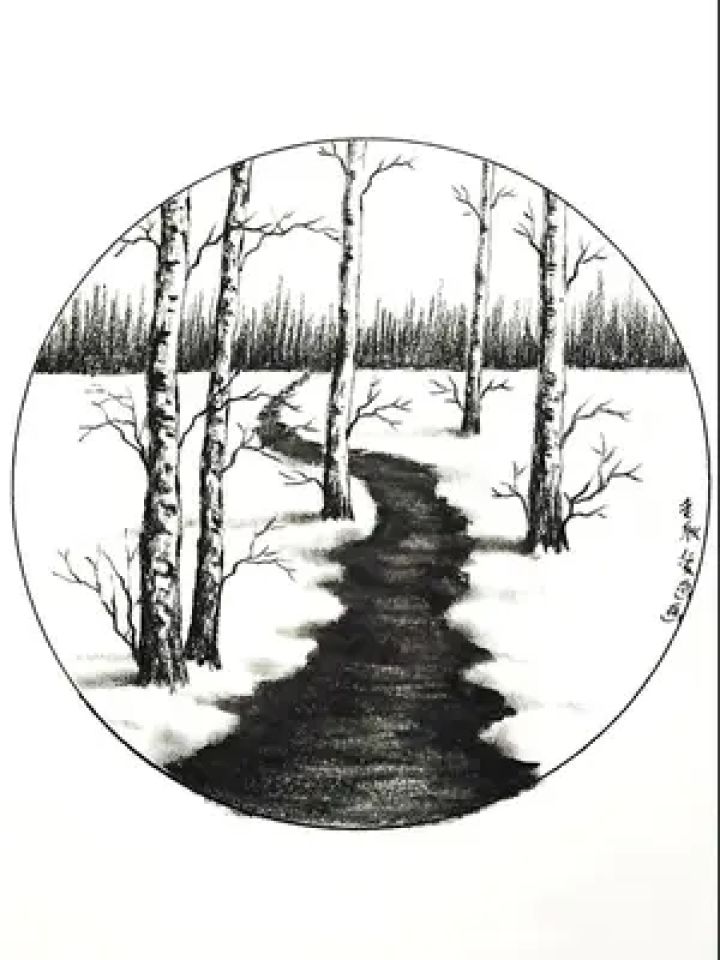 看完这条白桦林的教程,你就不会一画就废了!作业评论区见哦!