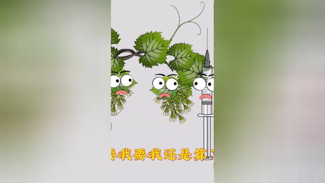 能变大的黑科技你要不要呀?冬天的葱怎么保鲜呢?#原创动画#手绘动画