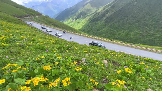 建了一个旅行群,等到春暖花开,我们一起出发去感受这漫山鲜花的世界. #巴朗山