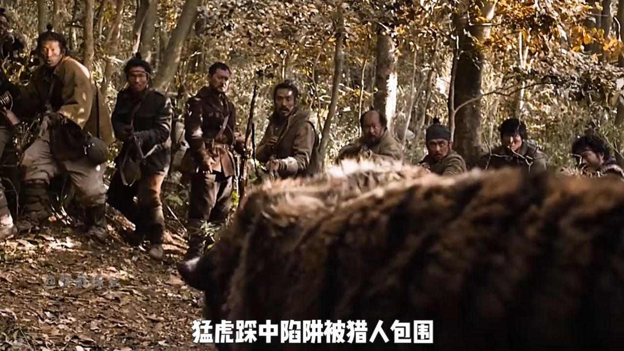 大虎只想守护自己的领地,却意外成了抗日英雄,韩国电影《大虎》