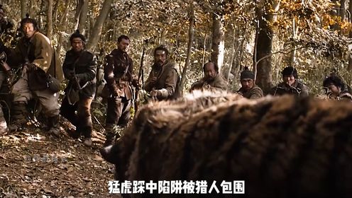 大虎只想守护自己的领地，却意外成了抗日英雄，韩国电影《大虎》