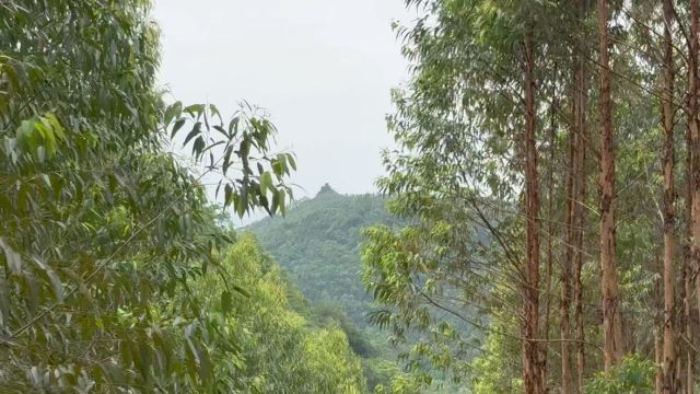 一流风水宝地欣赏