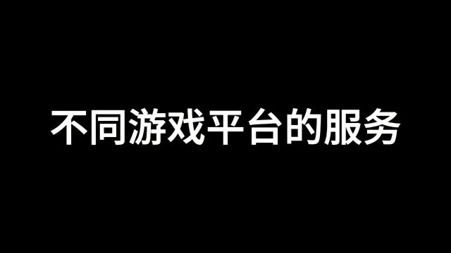 不同游戏平台的服务